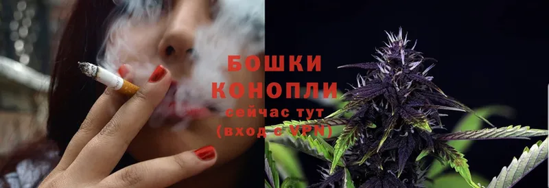 kraken онион  Нестеровская  Канабис White Widow 